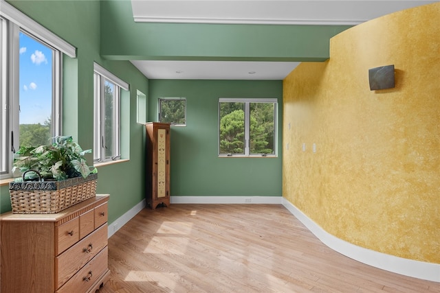 empty room with light wood-type flooring