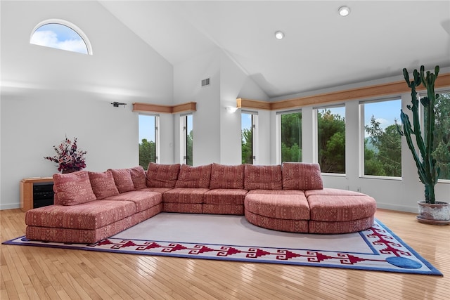 living room featuring wood-type flooring and a healthy amount of sunlight