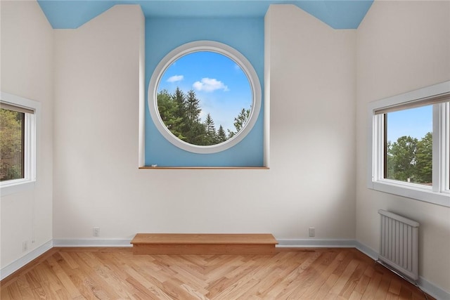 94 Overlook Dr, Andes, NY 13731 - spare room featuring radiator, wood finished floors, and baseboards