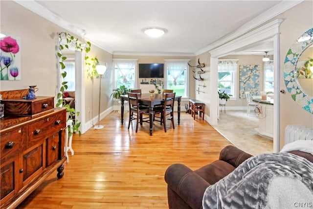 living room with crown molding, plenty of natural light, radiator, and light wood-type flooring