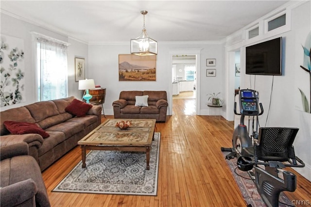 living room with hardwood / wood-style flooring and ornamental molding