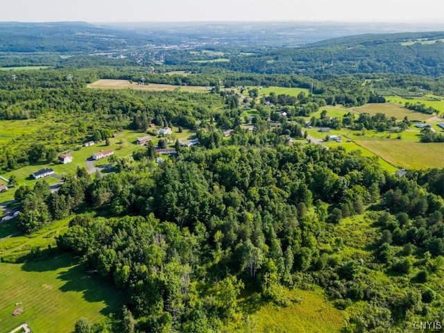 1 State Route 28, German Flatts, NY 13407 - photo 8