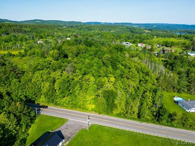 1 State Route 28, German Flatts, NY 13407 - photo 9