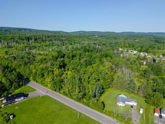 1 State Route 28, German Flatts, NY 13407 - photo 10