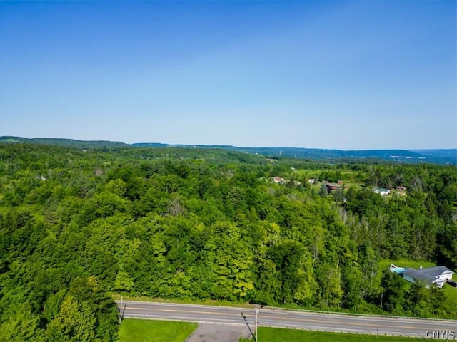 1 State Route 28, German Flatts, NY 13407 - photo 17