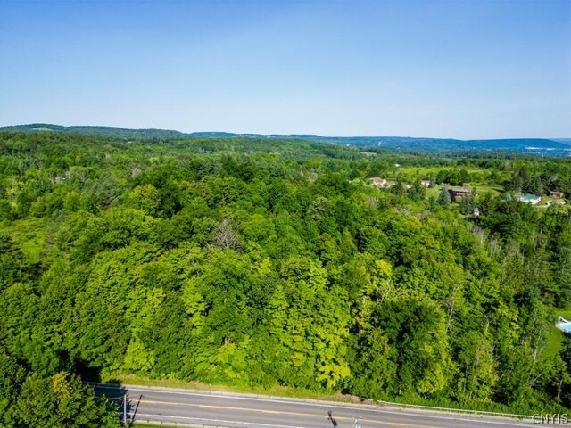1 State Route 28, German Flatts, NY 13407 - photo 18