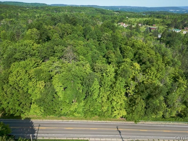 1 State Route 28, German Flatts, NY 13407 - photo 19