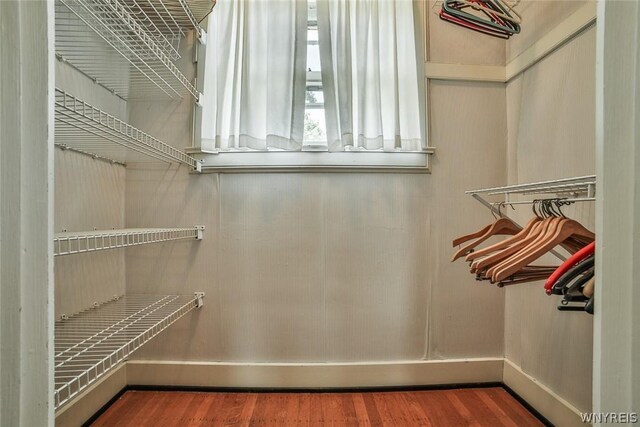 spacious closet with hardwood / wood-style floors