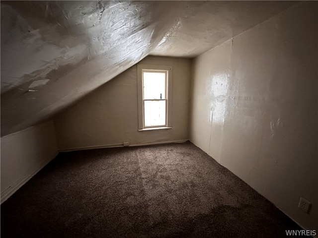 additional living space with carpet and lofted ceiling