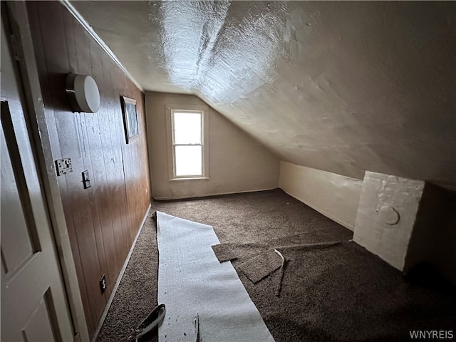 additional living space featuring vaulted ceiling, carpet, and wooden walls