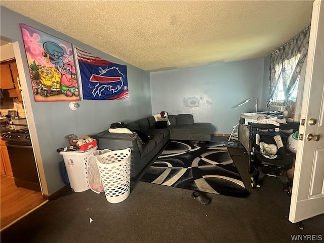 interior space with carpet floors and a textured ceiling