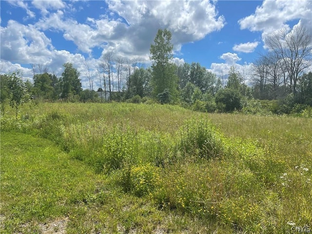 LOTB1 Peregrin Ln, Cicero, NY 13029 - photo 5