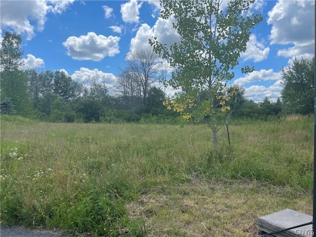 LOTB1 Peregrin Ln, Cicero, NY 13029 - photo 6