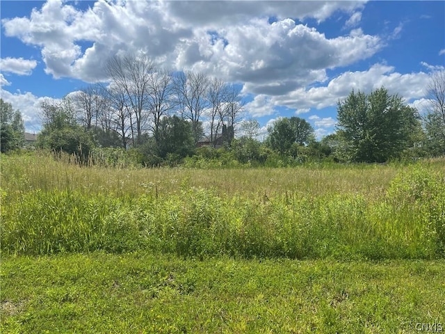 LOTB1 Peregrin Ln, Cicero, NY 13029 - photo 7