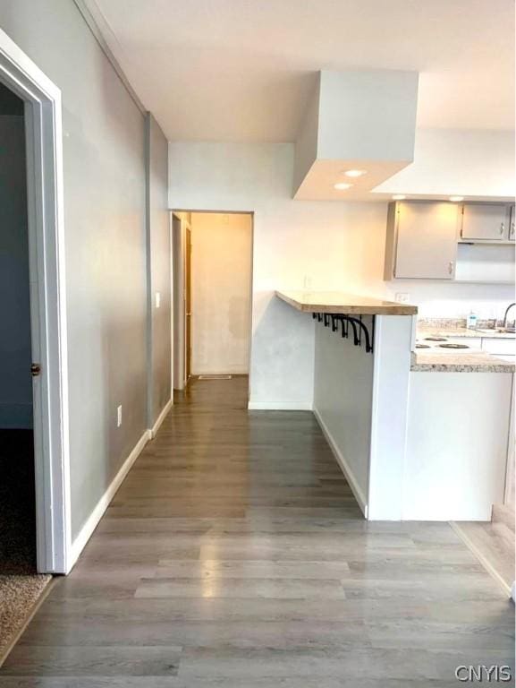 kitchen with sink, hardwood / wood-style flooring, and light stone countertops