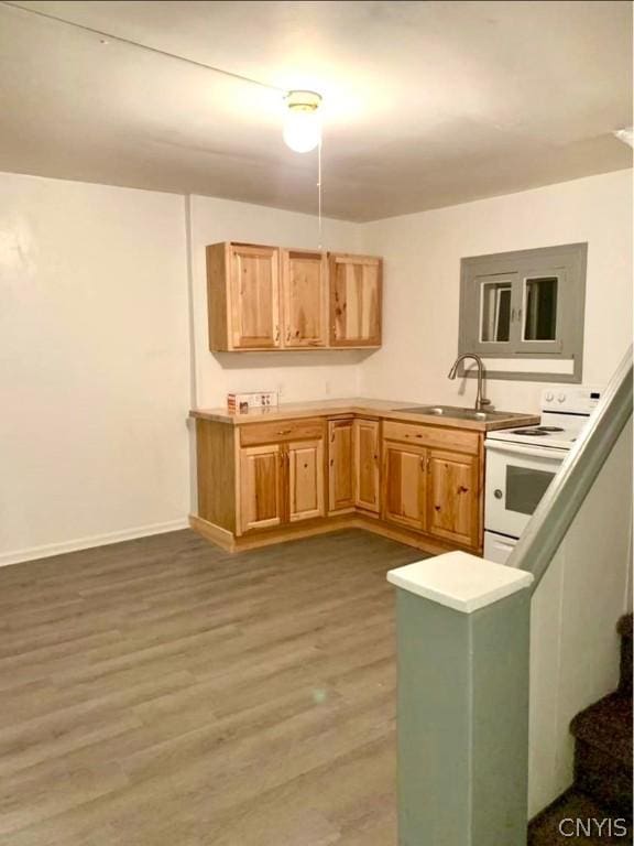 kitchen featuring sink, dark wood-type flooring, and white range with electric stovetop