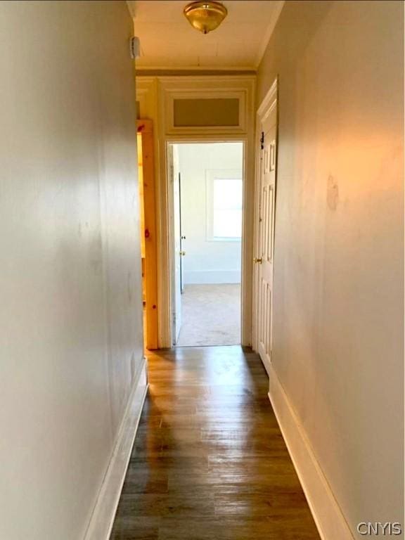 corridor featuring dark hardwood / wood-style flooring