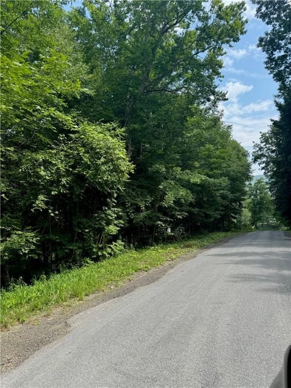 116 Oregon Rd, Butternuts, NY 13776