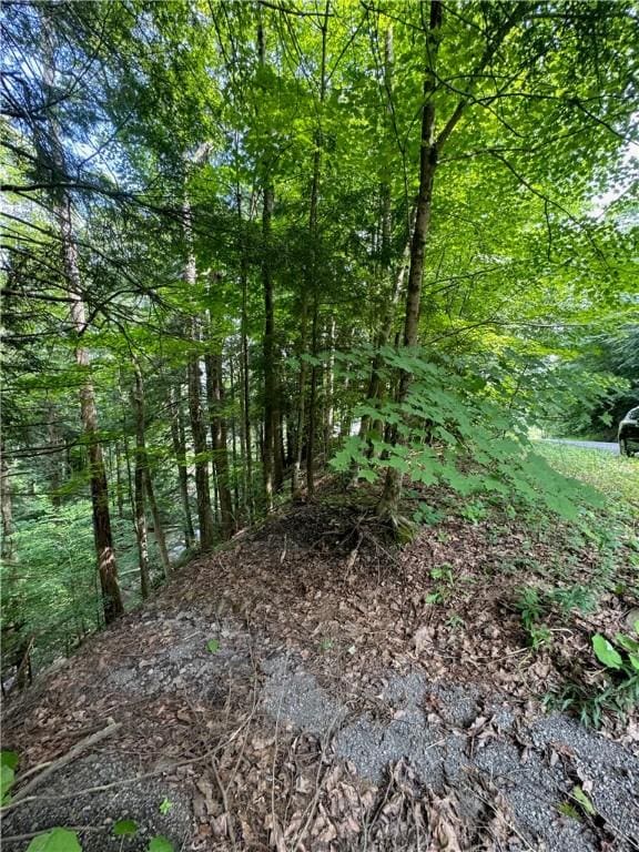 116 Oregon Rd, Butternuts, NY 13776