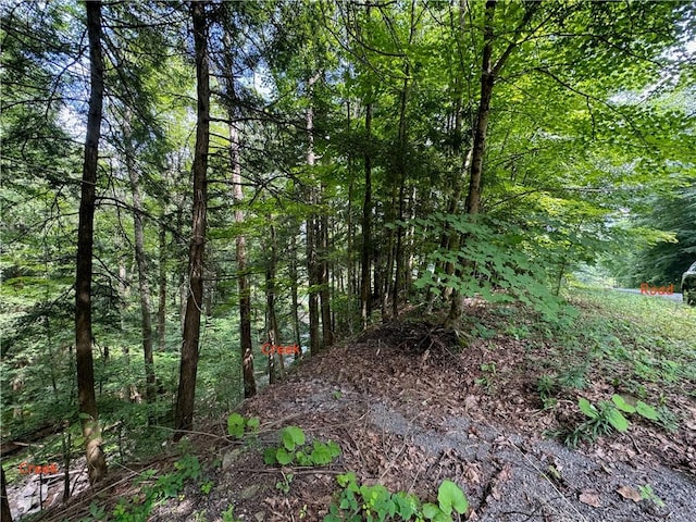 116 Oregon Rd, Butternuts, NY 13776