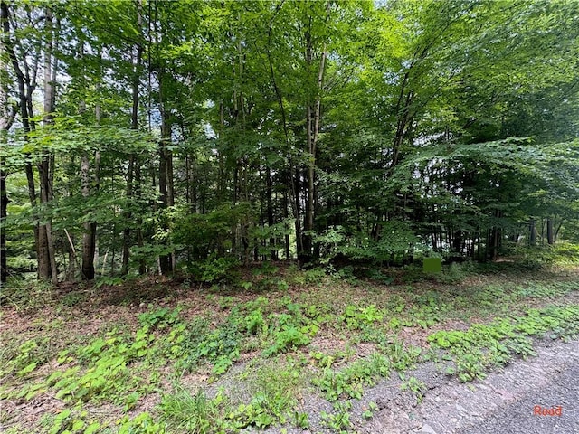116 Oregon Rd, Butternuts, NY 13776
