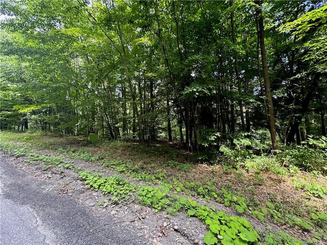 116 Oregon Rd, Butternuts, NY 13776