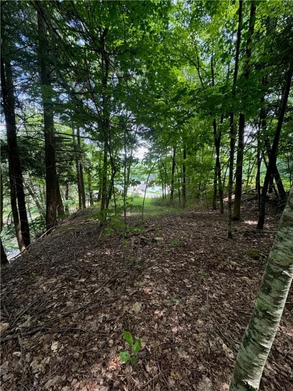 116 Oregon Rd, Butternuts, NY 13776