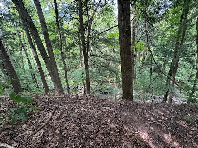 116 Oregon Rd, Butternuts, NY 13776