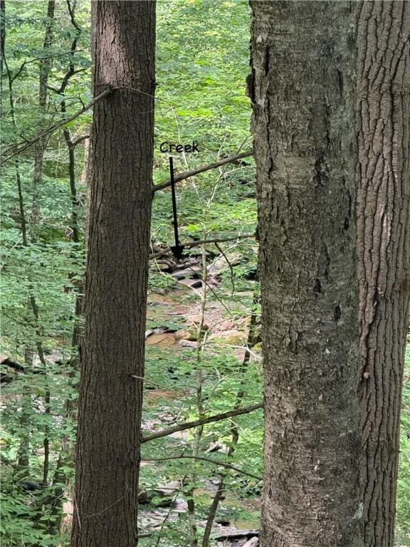 116 Oregon Rd, Butternuts, NY 13776