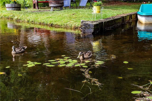 view of water feature