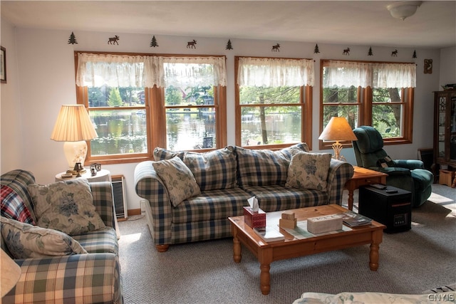 living room with carpet flooring