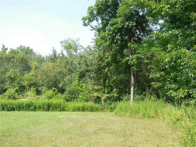 15 W Clymer St, Auburn, NY 13021 - photo 11