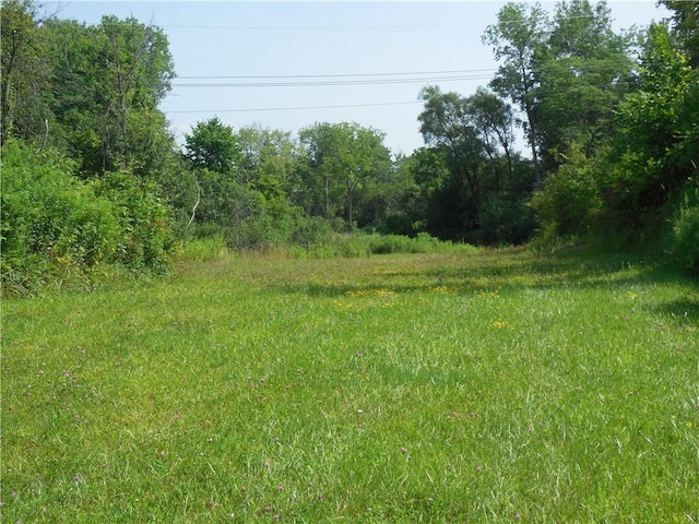 15 W Clymer St, Auburn, NY 13021 - photo 12