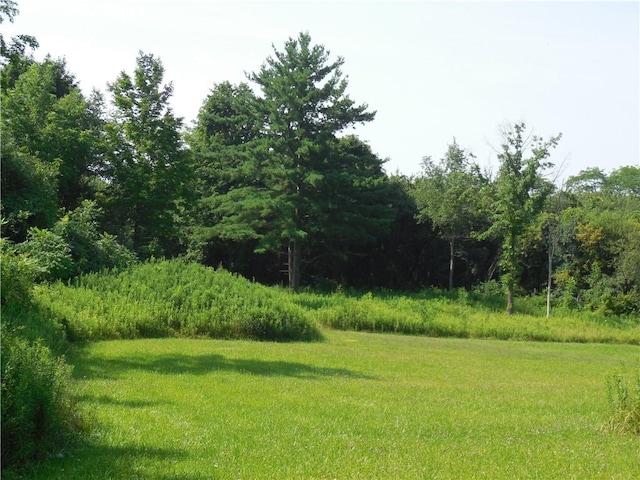 15 W Clymer St, Auburn, NY 13021 - photo 13