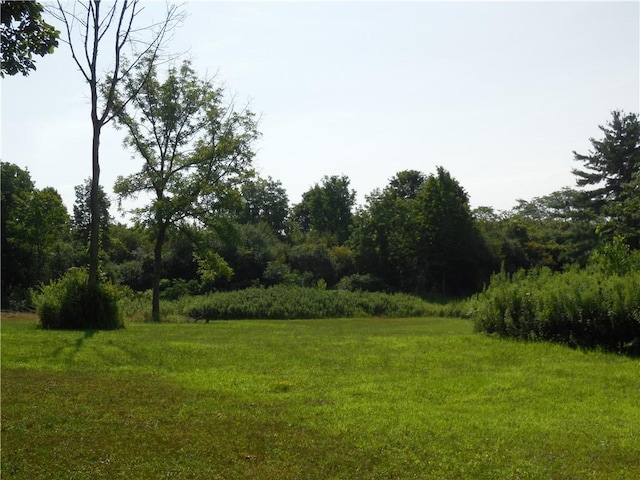 15 W Clymer St, Auburn, NY 13021 - photo 16