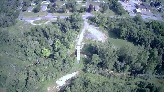 15 W Clymer St, Auburn, NY 13021 - photo 5