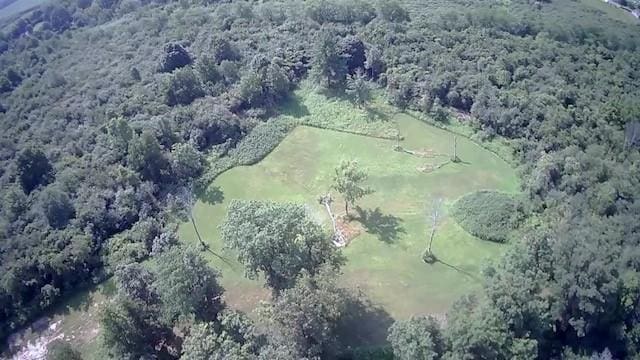 15 W Clymer St, Auburn, NY 13021 - photo 9