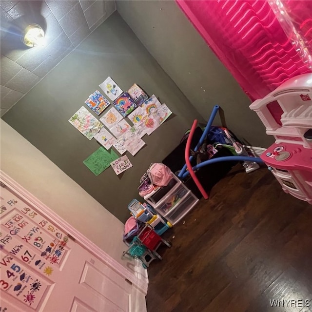 playroom with hardwood / wood-style floors