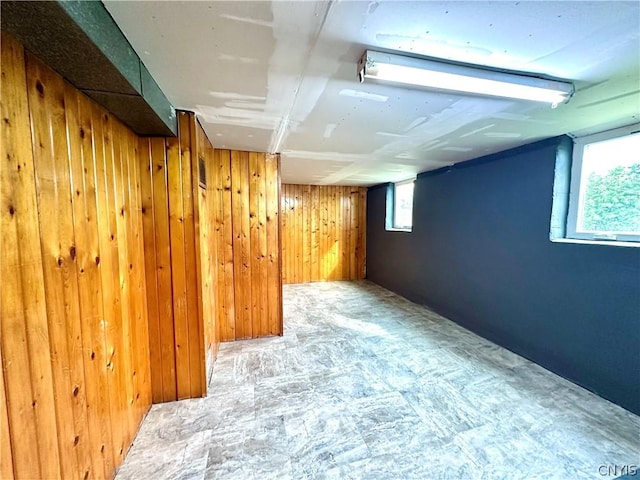 basement featuring wooden walls