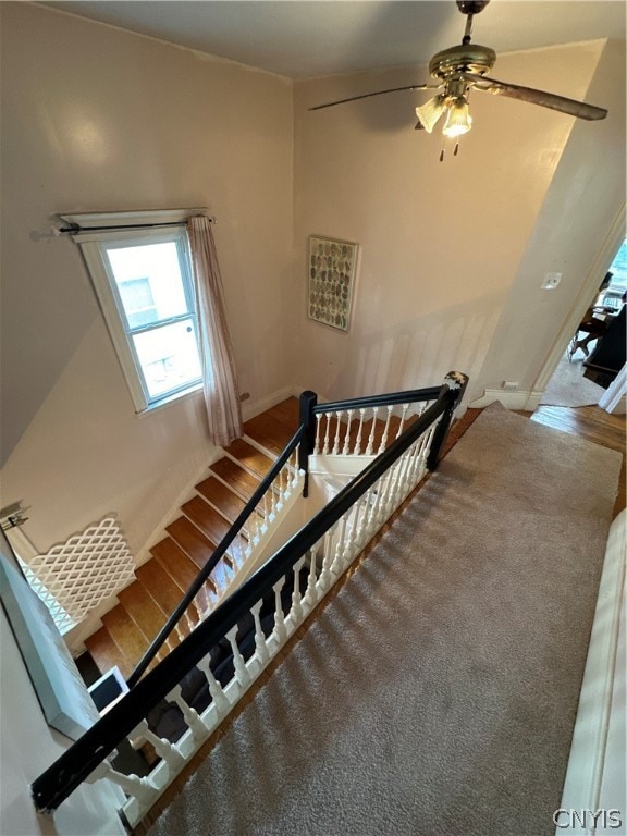 staircase featuring ceiling fan, a high ceiling, and carpet floors