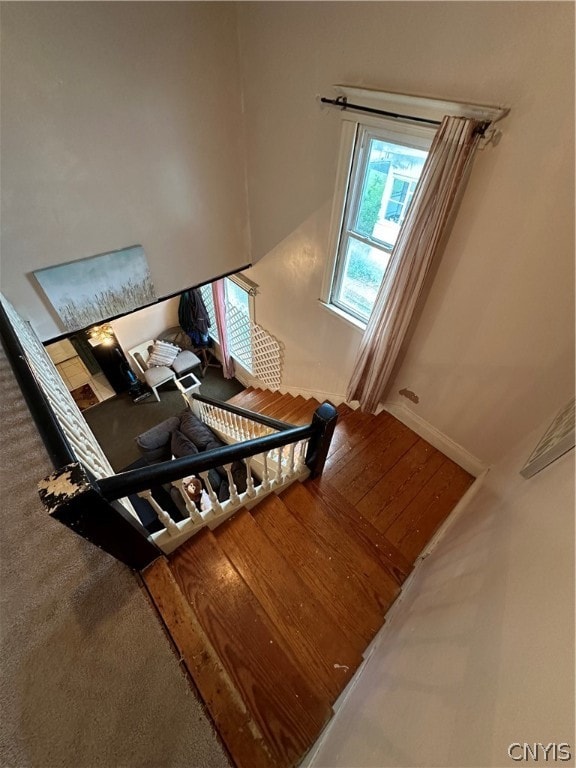 stairs with wood-type flooring