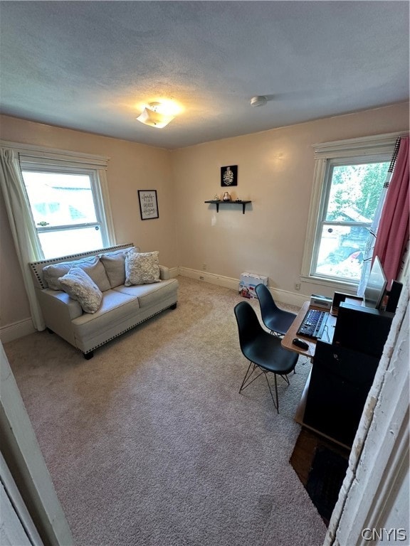 living room with light colored carpet and a healthy amount of sunlight