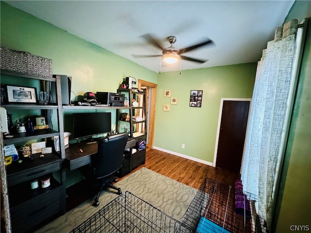 office area featuring hardwood / wood-style flooring and ceiling fan