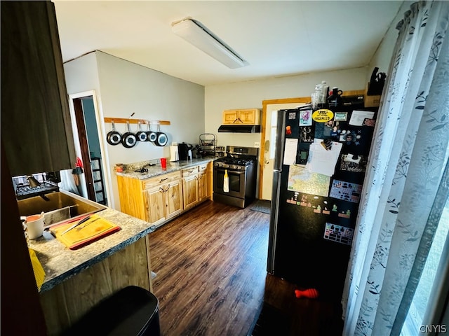 kitchen featuring refrigerator, dark wood-type flooring, gas range, and sink