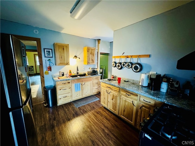 kitchen featuring dark hardwood / wood-style floors, black appliances, light brown cabinets, and sink