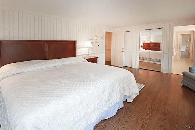 bedroom featuring multiple closets and dark hardwood / wood-style flooring