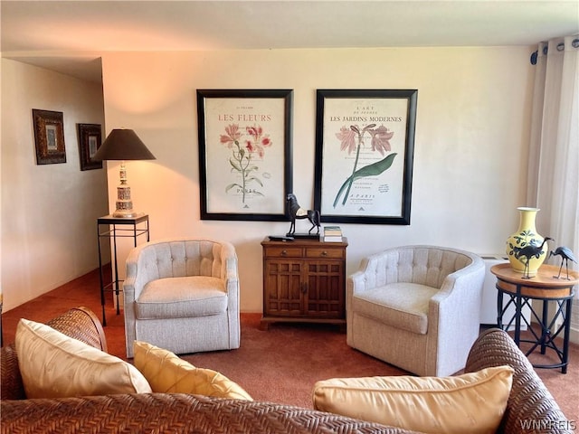 living room with carpet