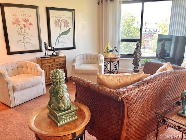 view of carpeted living area