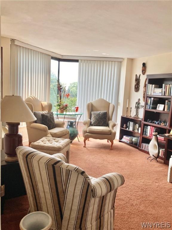 view of carpeted living area