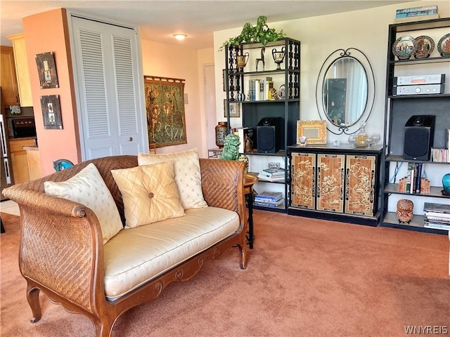 sitting room with carpet flooring